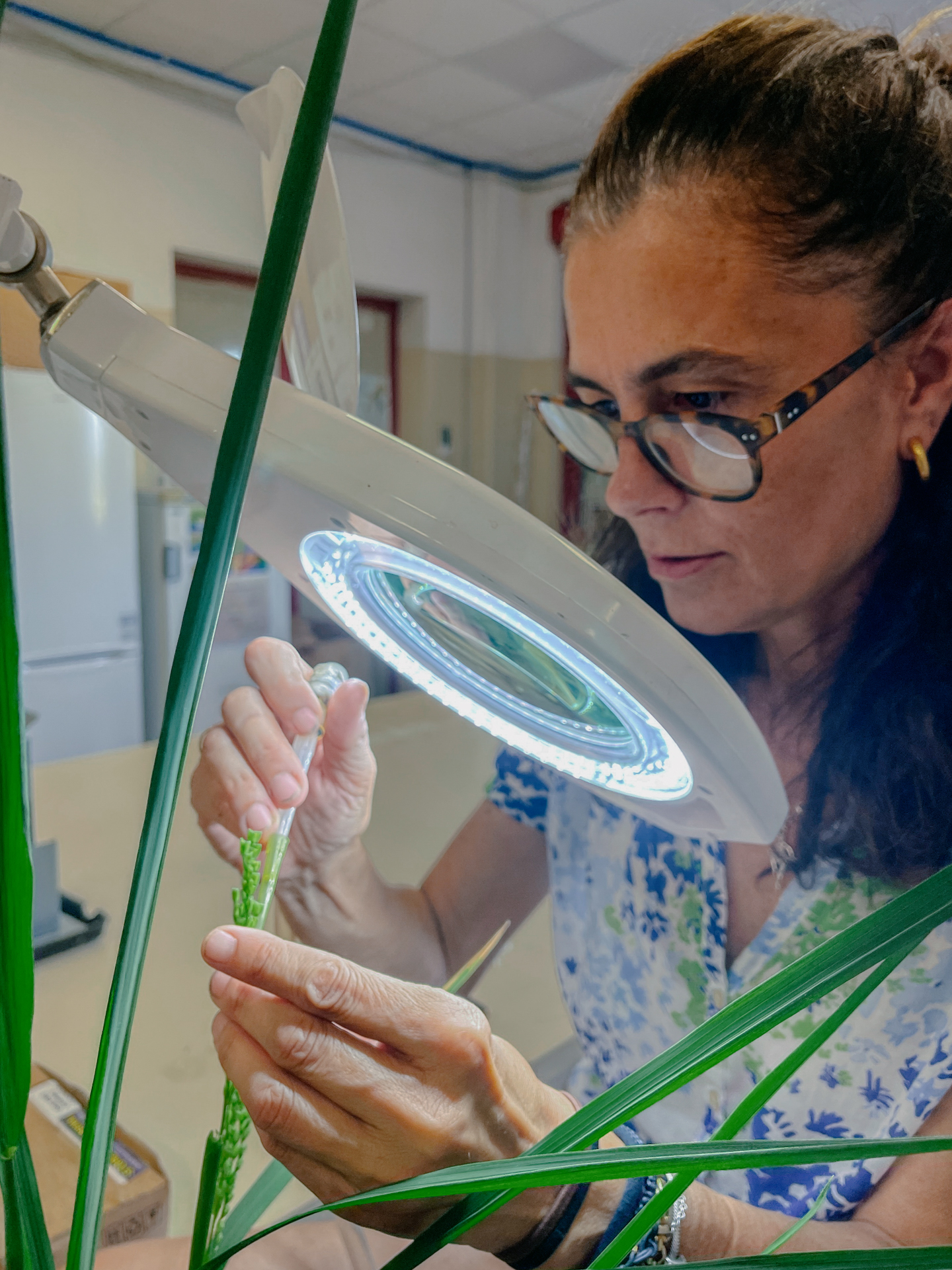 A woman wearing glasses looks intently through a large magnifying glass at a green plant that she is touching with a plastic dropper.